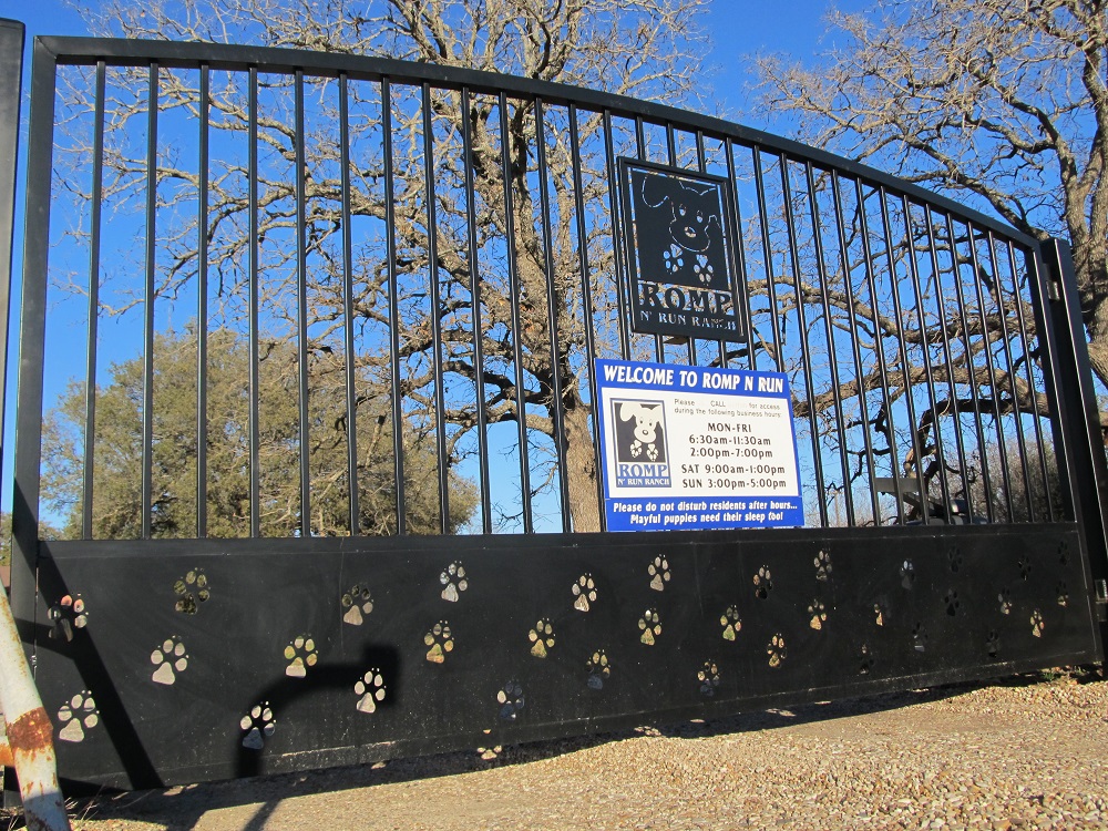 Automatic ornamental iron driveway gates Austin